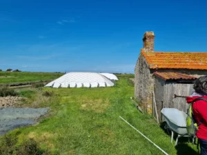 VtcPornic.Excursion.Noirmoutier4