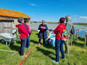 VtcPornic.Excursion.Noirmoutier7
